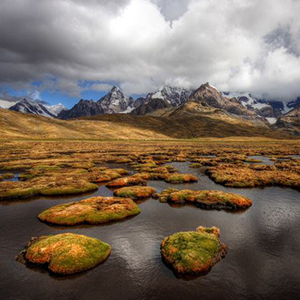 Azangate Peru